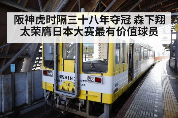 阪神虎时隔三十八年夺冠 森下翔太荣膺日本大赛最有价值球员