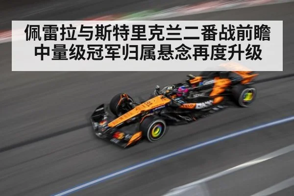佩雷拉与斯特里克兰二番战前瞻中量级冠军归属悬念再度升级